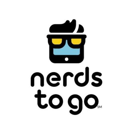 NerdsToGo Bellevue WA